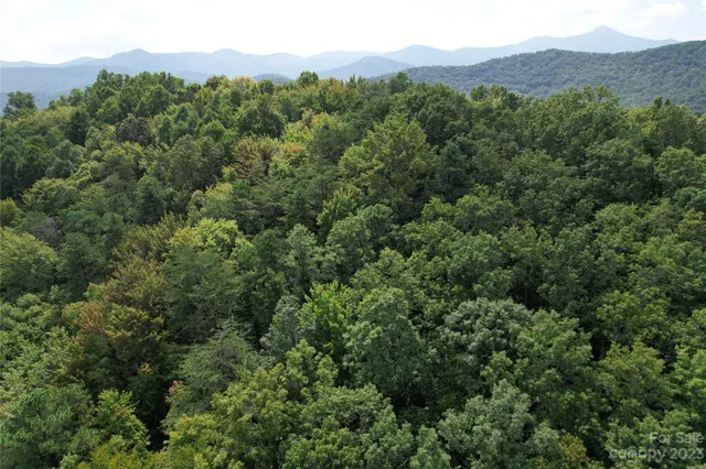 $217,800 | 0 Screech Owl Drive, Candler, NC 28715