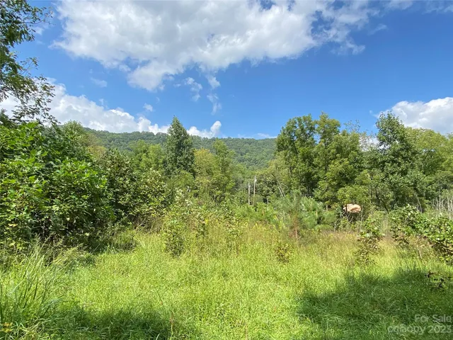 $217,800 | 0 Screech Owl Drive, Candler, NC 28715