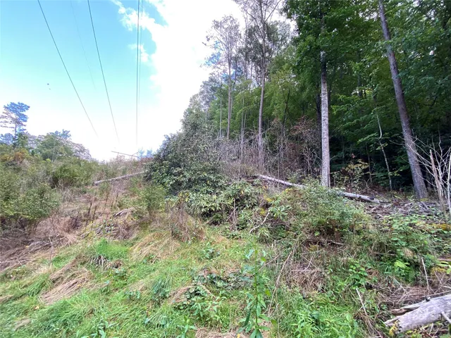 $217,800 | 0 Screech Owl Drive, Candler, NC 28715