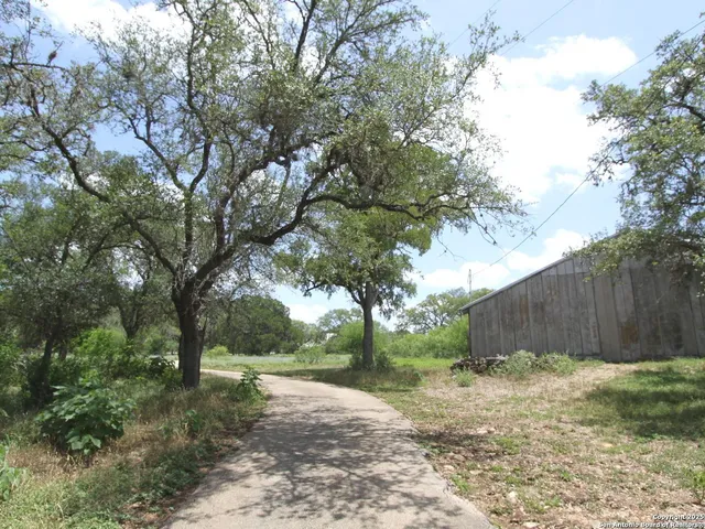 a view of backyard with green space
