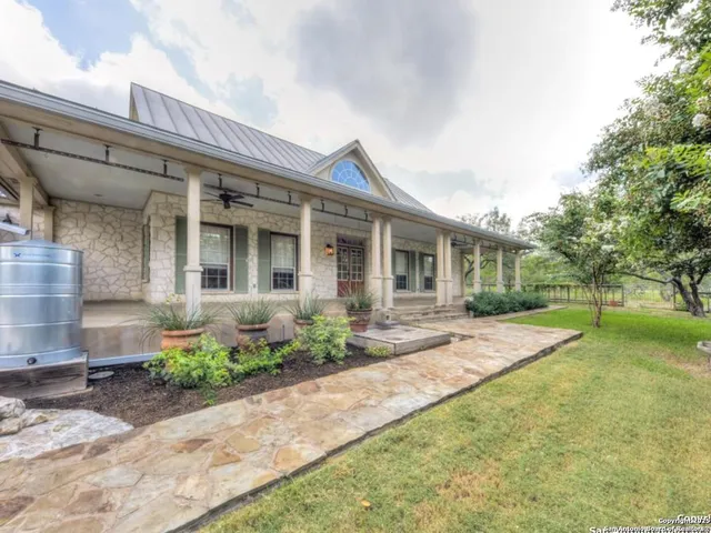 a view of backyard with large tree and plants