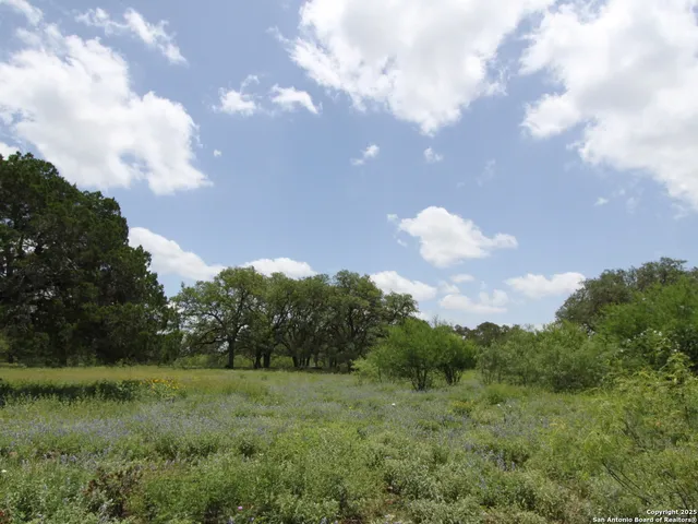 $1,790,000 | 1210 Whispering Woods Trail, New Braunfels, TX 78132