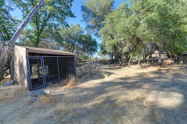a view of a garden with plants