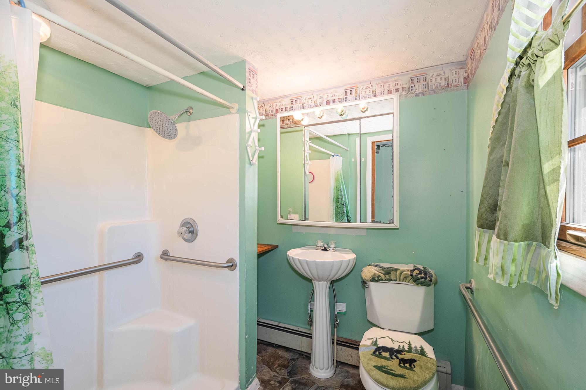 2738 Walnut Bottom Road Swanton, MD 21561 - Photo 21 of 55