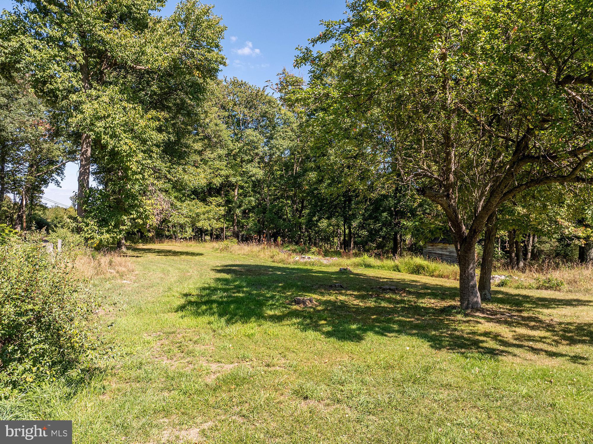 2738 Walnut Bottom Road Swanton, MD 21561 - Photo 38 of 55