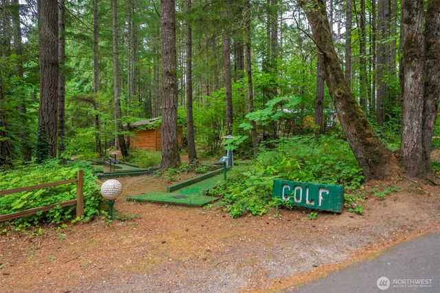 a view of a backyard with plants and trees