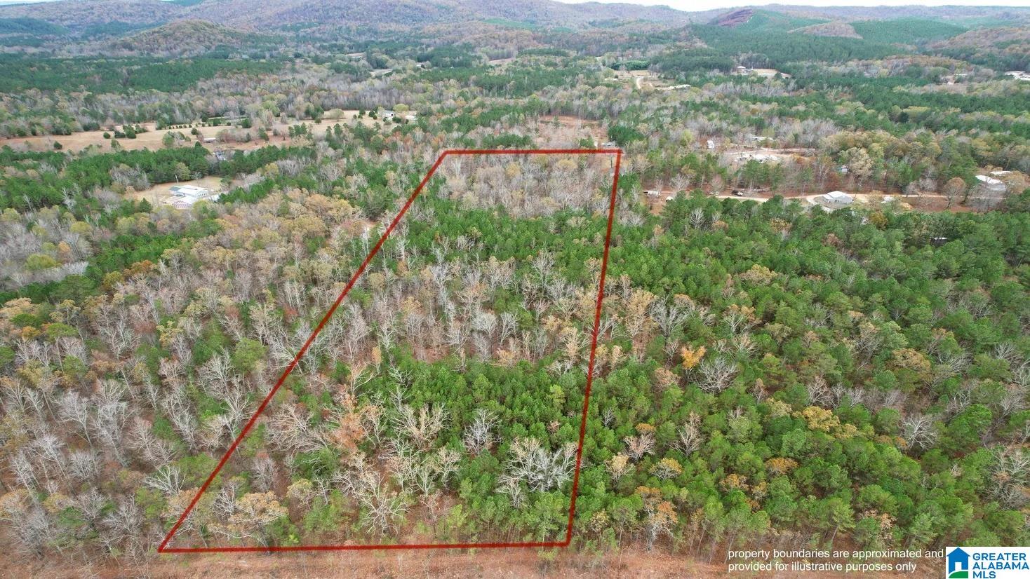 393 Siler Road Piedmont, AL 36272 - Photo 1 of 14