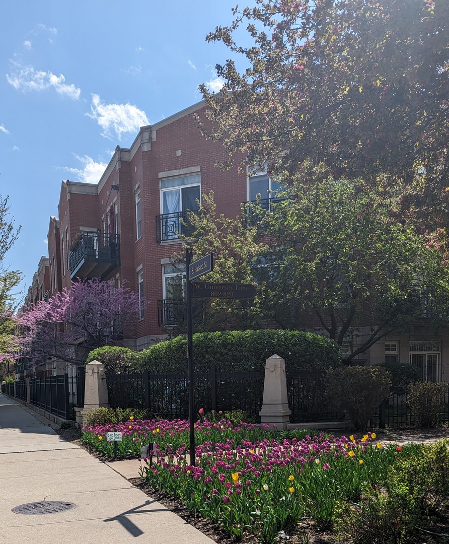 1406 South Halsted Street, Unit 3B Chicago, IL 60607 - Photo 1 of 3 a garden view with a fountain