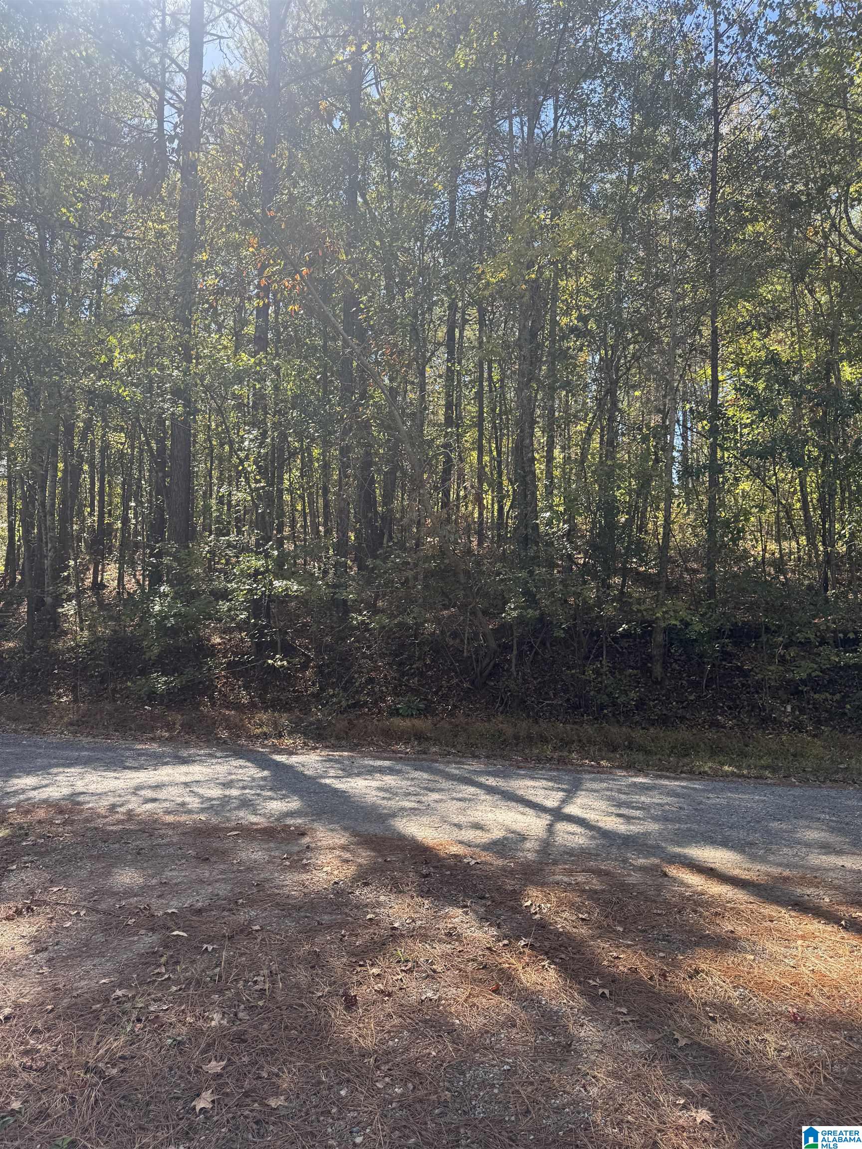 2075 Turkey Pen Road, Unit 1 Cragford, AL 36255 - Photo 6 of 6