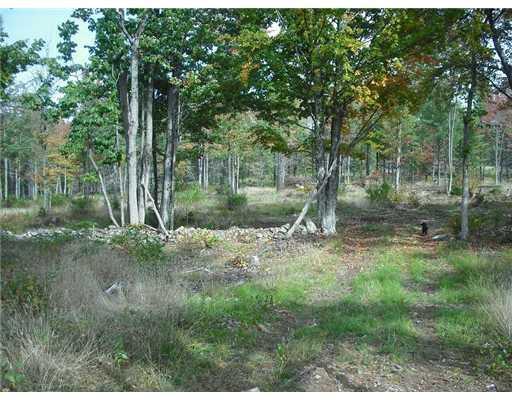 13 Hilton Road Denmark, ME 04022 - Photo 7 of 11 Land. one of numerous stone walls...