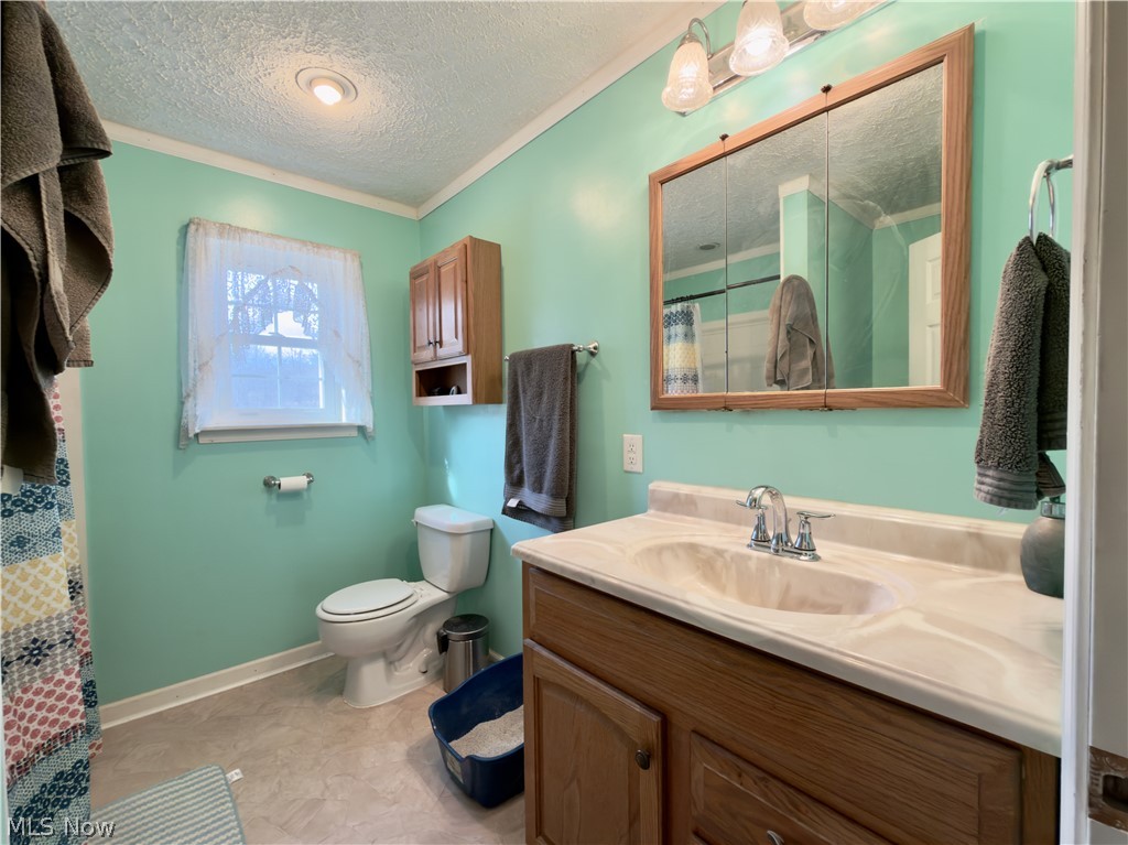 17377 Murphy Road Amesville, OH 45711 - Photo 26 of 43 Bathroom featuring vanity, ornamental molding, a textured ceiling, and curtained shower