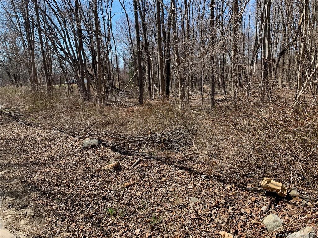 0 Shelton Road Oxford, CT 06478 - Photo 1 of 1 Gallery Image 1