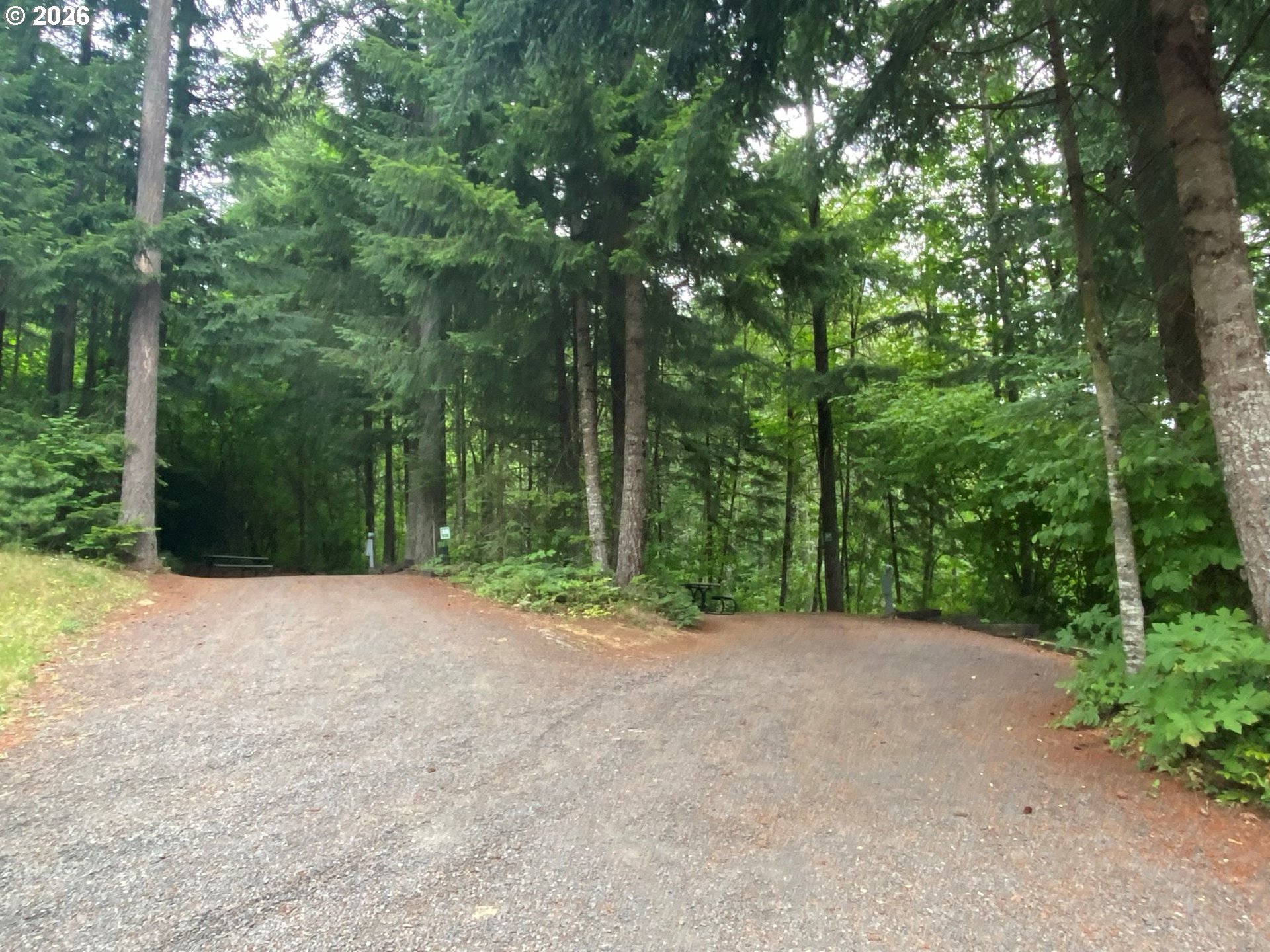 112 Bylin Road Stevenson, WA 98648 - Photo 29 of 42 a view of a road with trees in the background