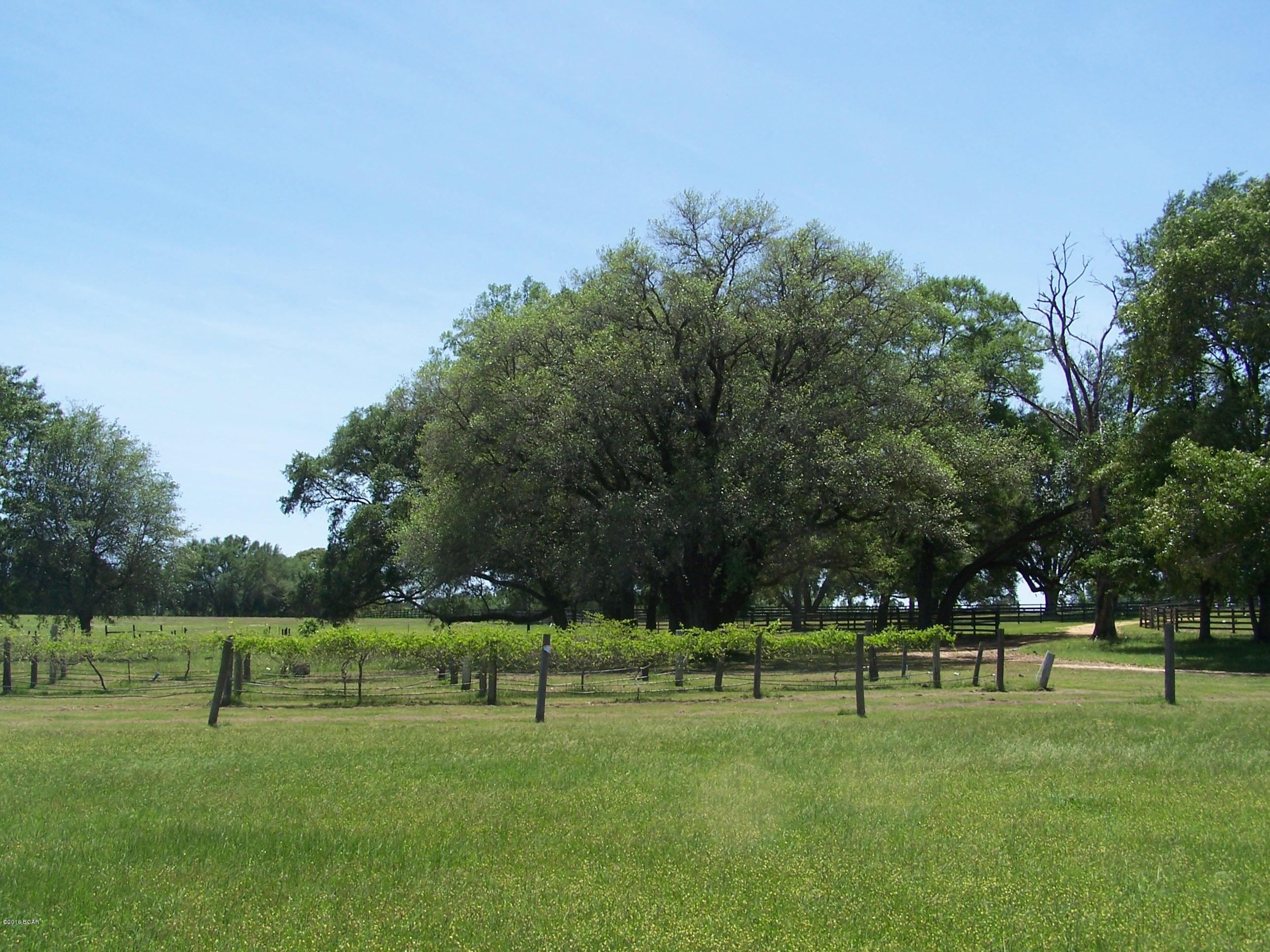 1059 Wilcox Crossing Road Bonifay, FL 32425 - Photo 38 of 70 Gallery Image 38