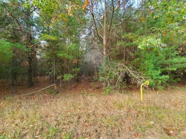 $5,750 | 0 Buffalo Trail, Unit LOTS 37 AND 38 BUFFALO TR, Alger, MI 48610