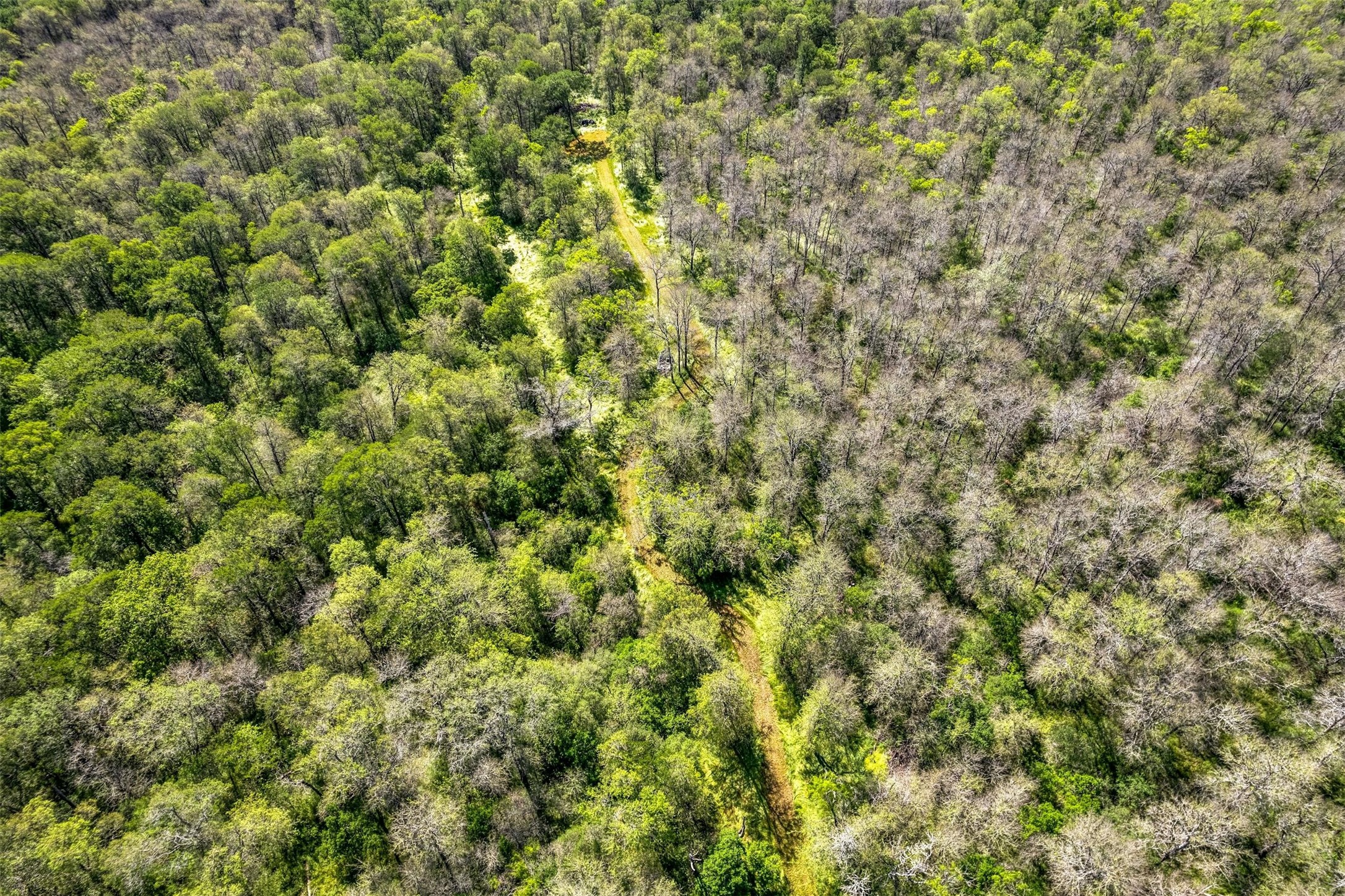 201 Fawn Ridge Road Cedar Creek, TX 78612 - Photo 14 of 21