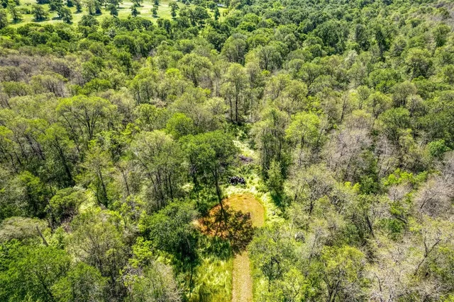 a view of a lush green field