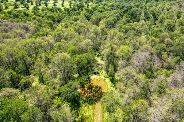 a view of a lush green field