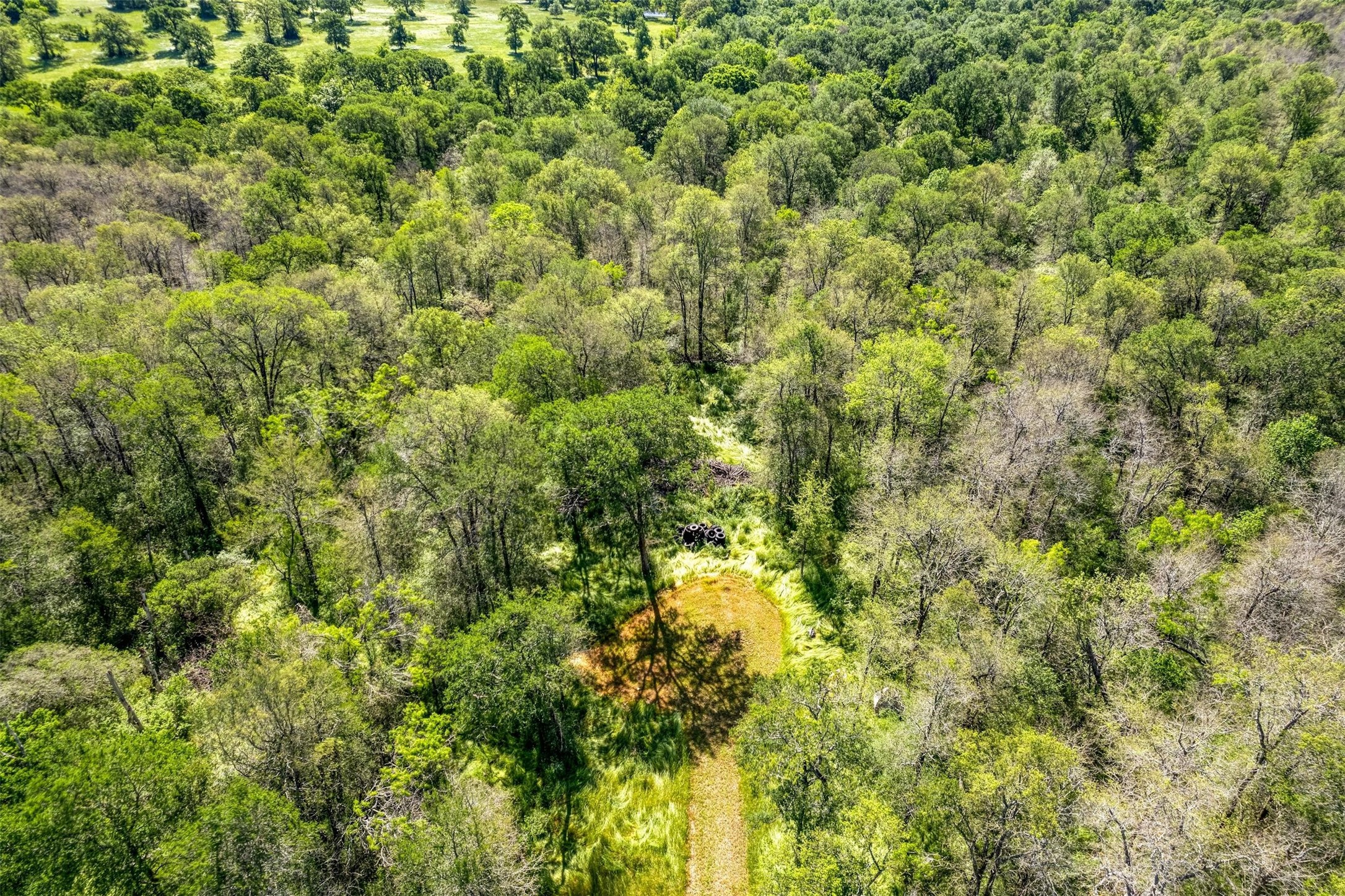 201 Fawn Ridge Road Cedar Creek, TX 78612 - Photo 15 of 21 a view of a big yard with plants and large trees