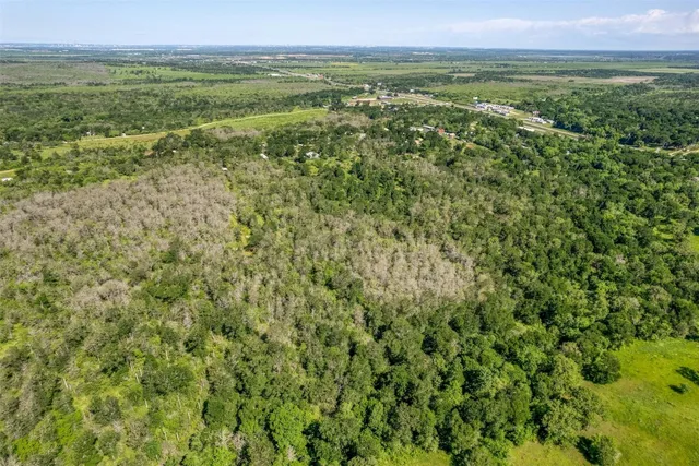 a view of a field with an ocean