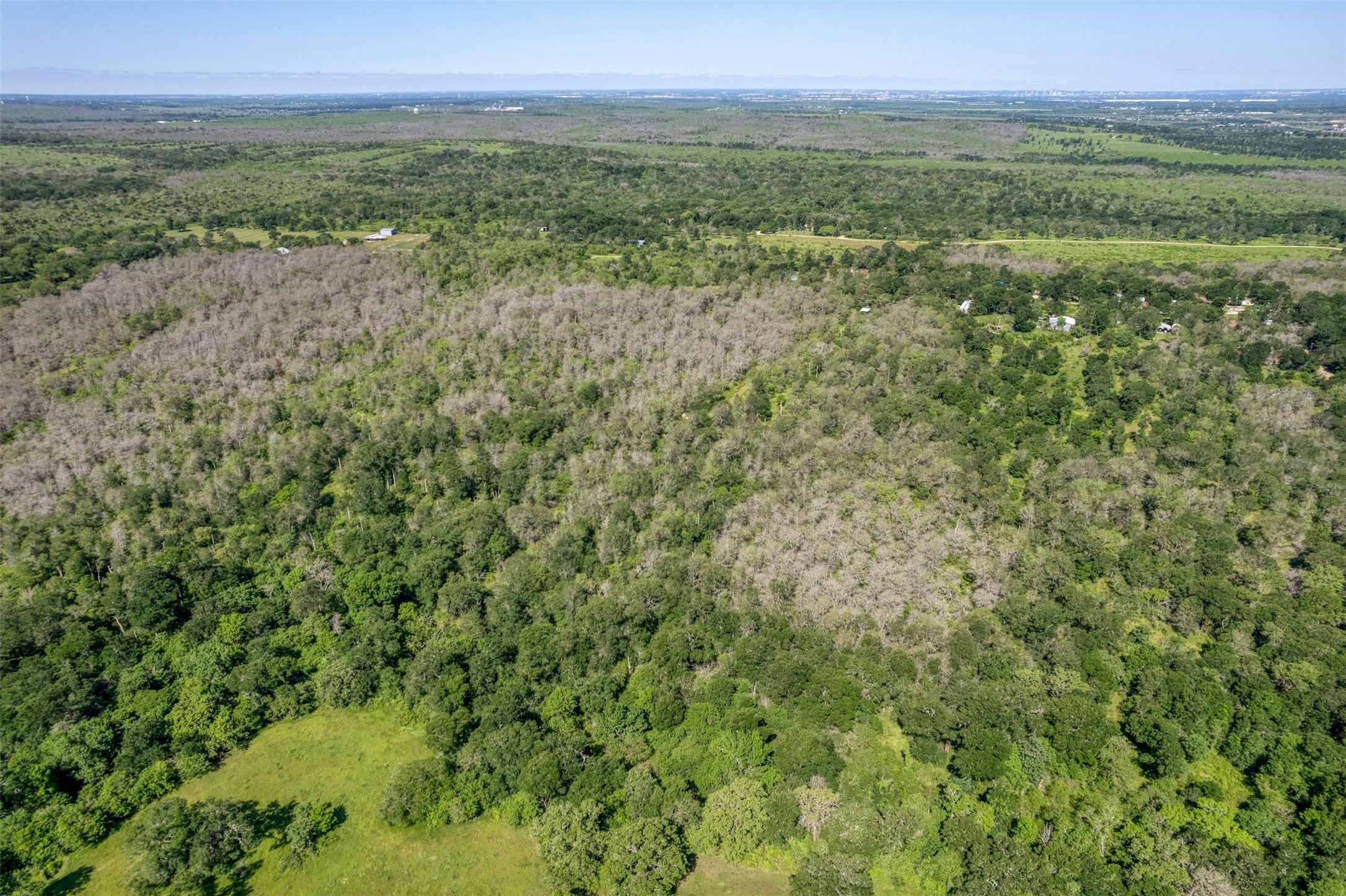 201 Fawn Ridge Road Cedar Creek, TX 78612 - Photo 8 of 21 a view of a field with an ocean