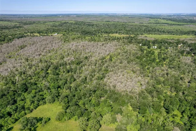 a view of an outdoor space and a yard