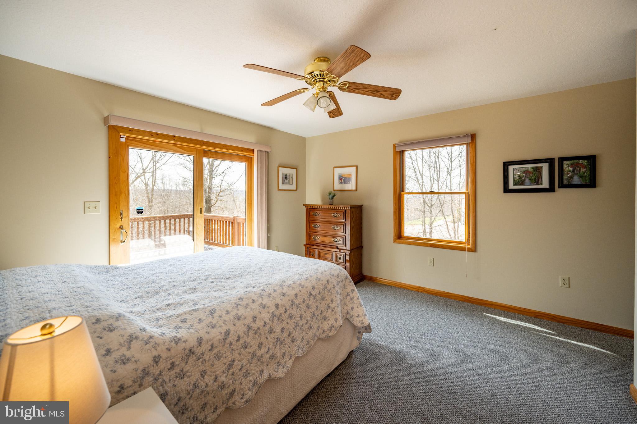 167 Sears Lane Swanton, MD 21561 - Photo 17 of 48 a bedroom with a bed and window