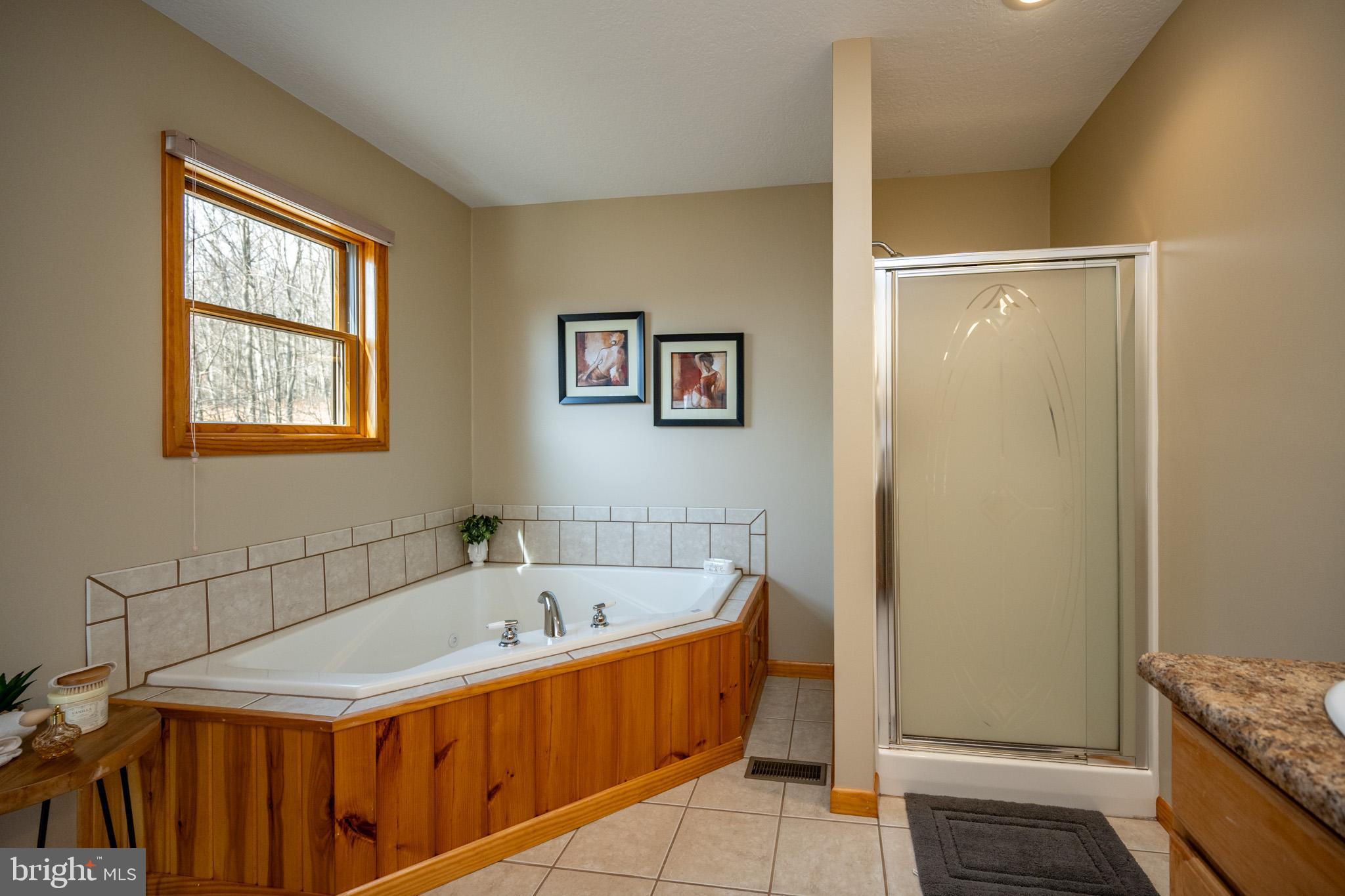 167 Sears Lane Swanton, MD 21561 - Photo 21 of 48 a bathroom with a tub and a window