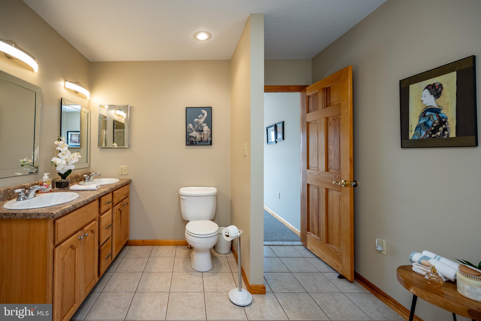 167 Sears Lane Swanton, MD 21561 - Photo 22 of 48 a bathroom with a toilet sink and mirror