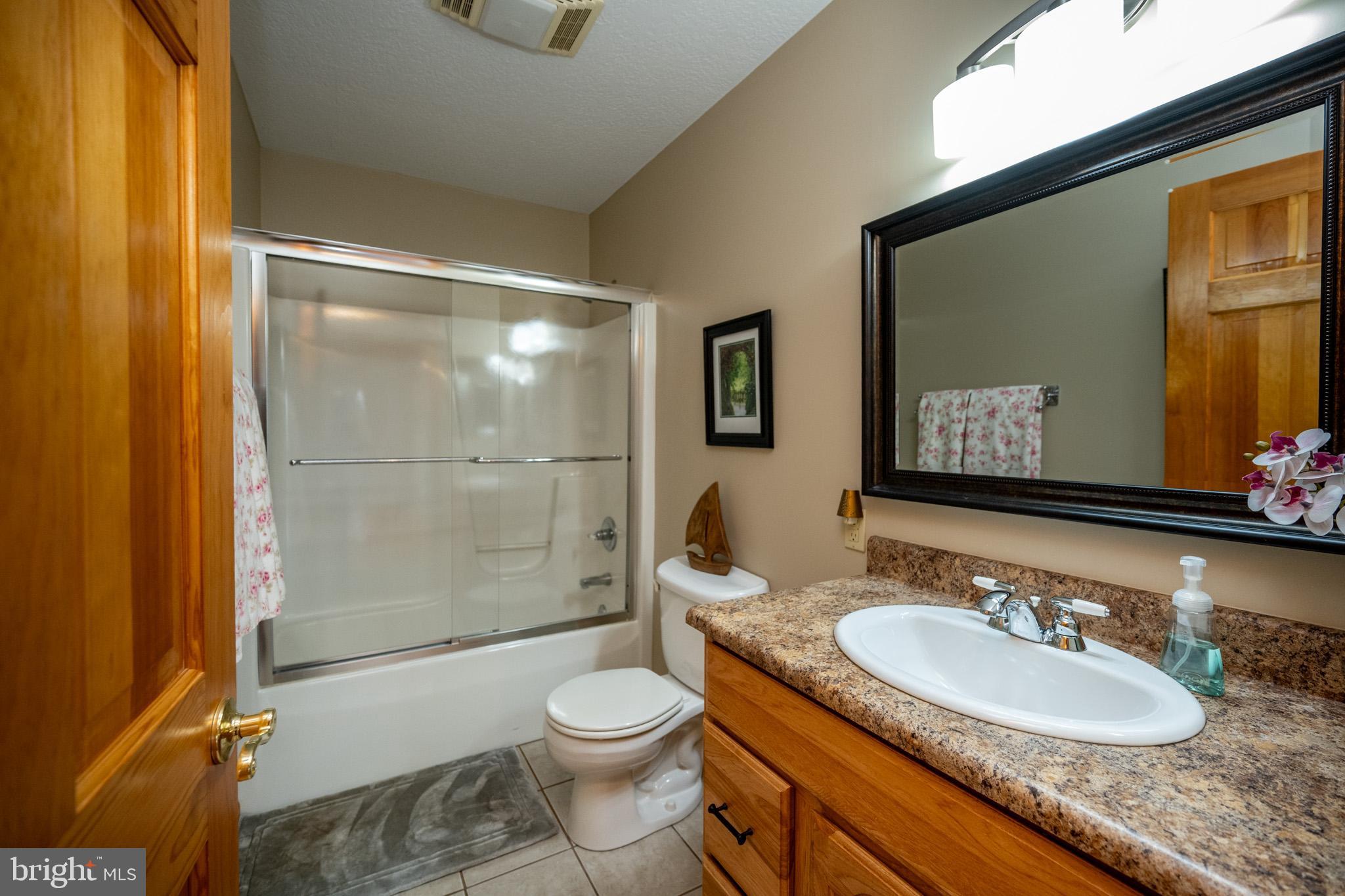167 Sears Lane Swanton, MD 21561 - Photo 23 of 48 a bathroom with a granite countertop sink toilet and shower
