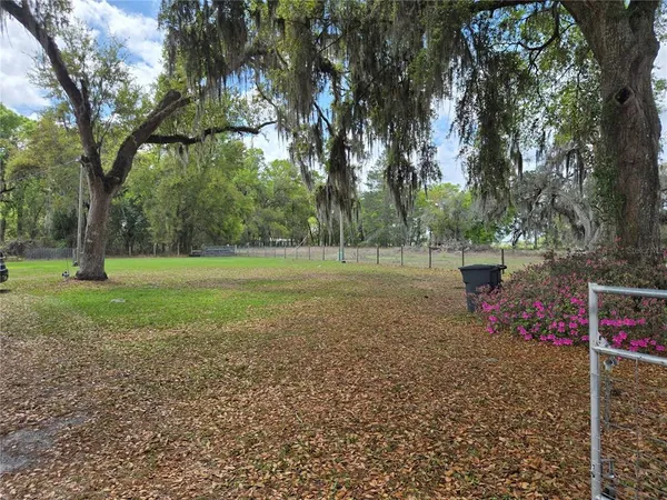 a view of a park with large trees