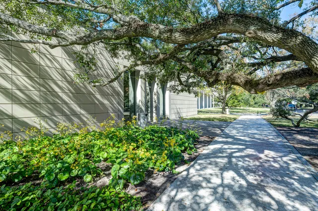 a view of a house with backyard and trees
