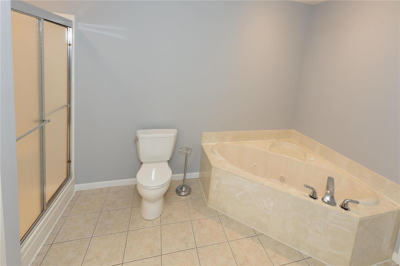 1711 Clover Ridge Columbia, IL 62236 - Photo 10 of 29 Gallery Image 10