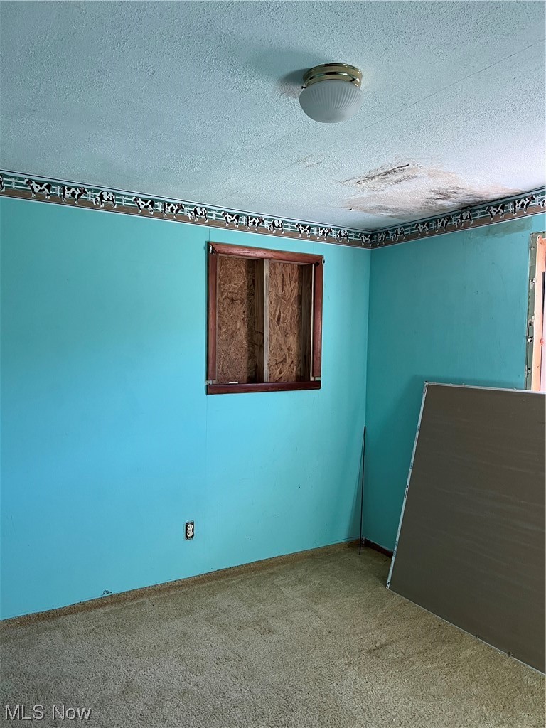 3191 Ninety Road Ashtabula, OH 44004 - Photo 16 of 22 Spare room with carpet flooring and a textured ceiling