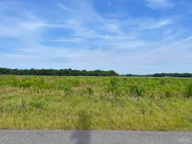 a view of a lake from a yard