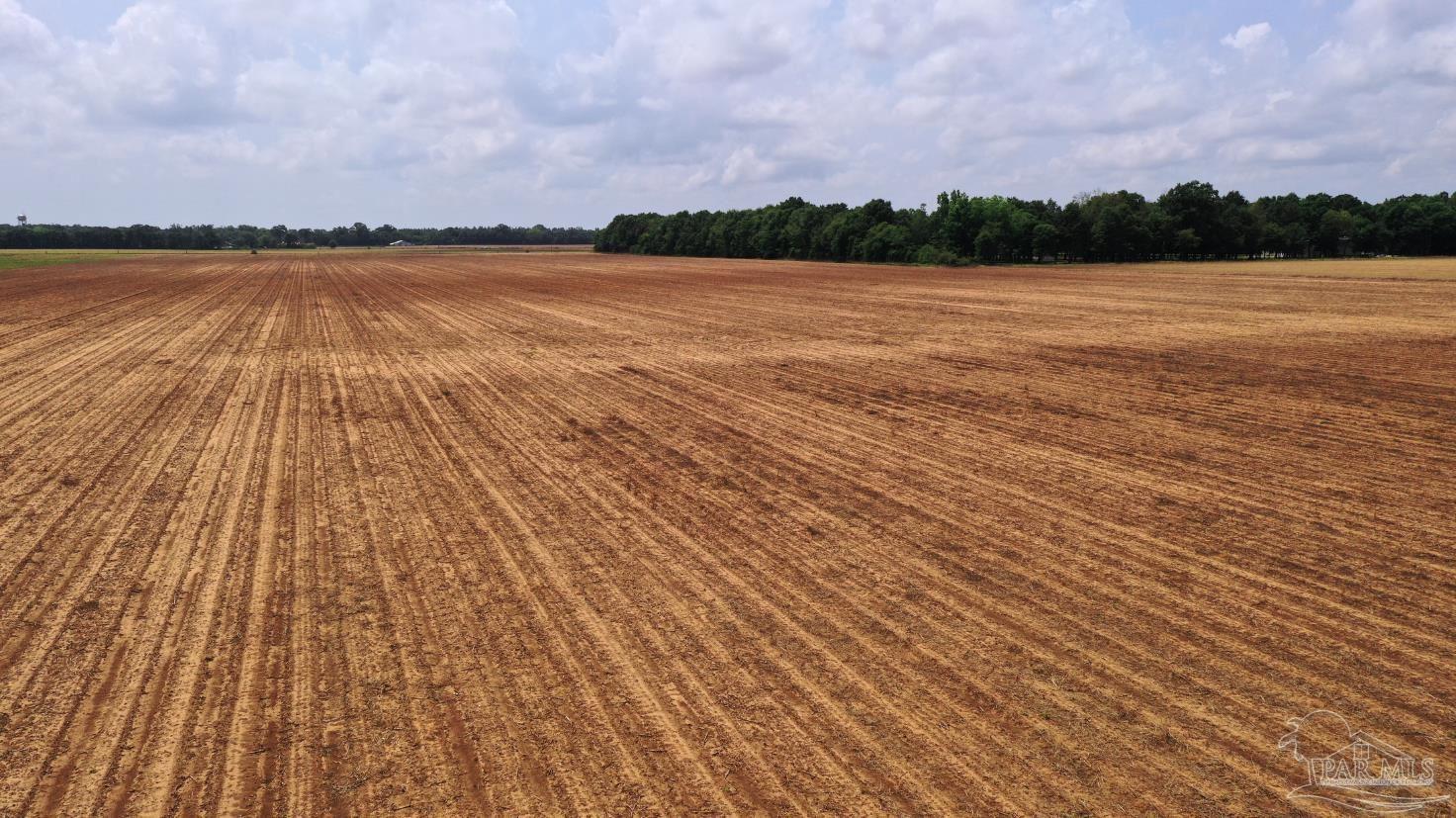 1 Salter Road Milton, FL 32571 - Photo 12 of 19 a view of lake