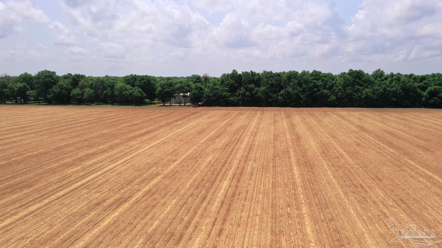 1 Salter Road Milton, FL 32571 - Photo 15 of 19 a view of outdoor space and deck