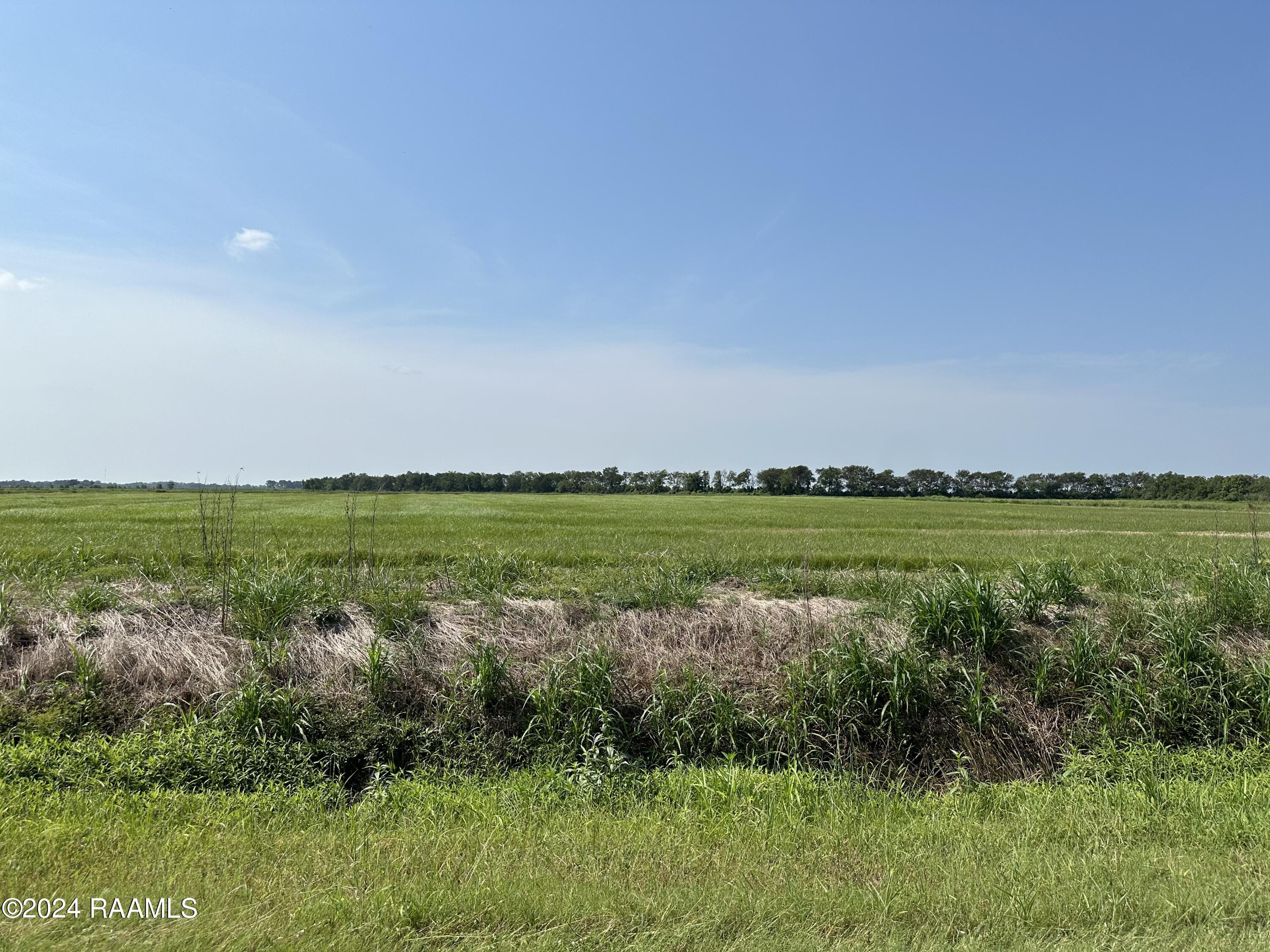 0 Junius Road Kaplan, LA 70548 - Photo 1 of 6 IMG_8776