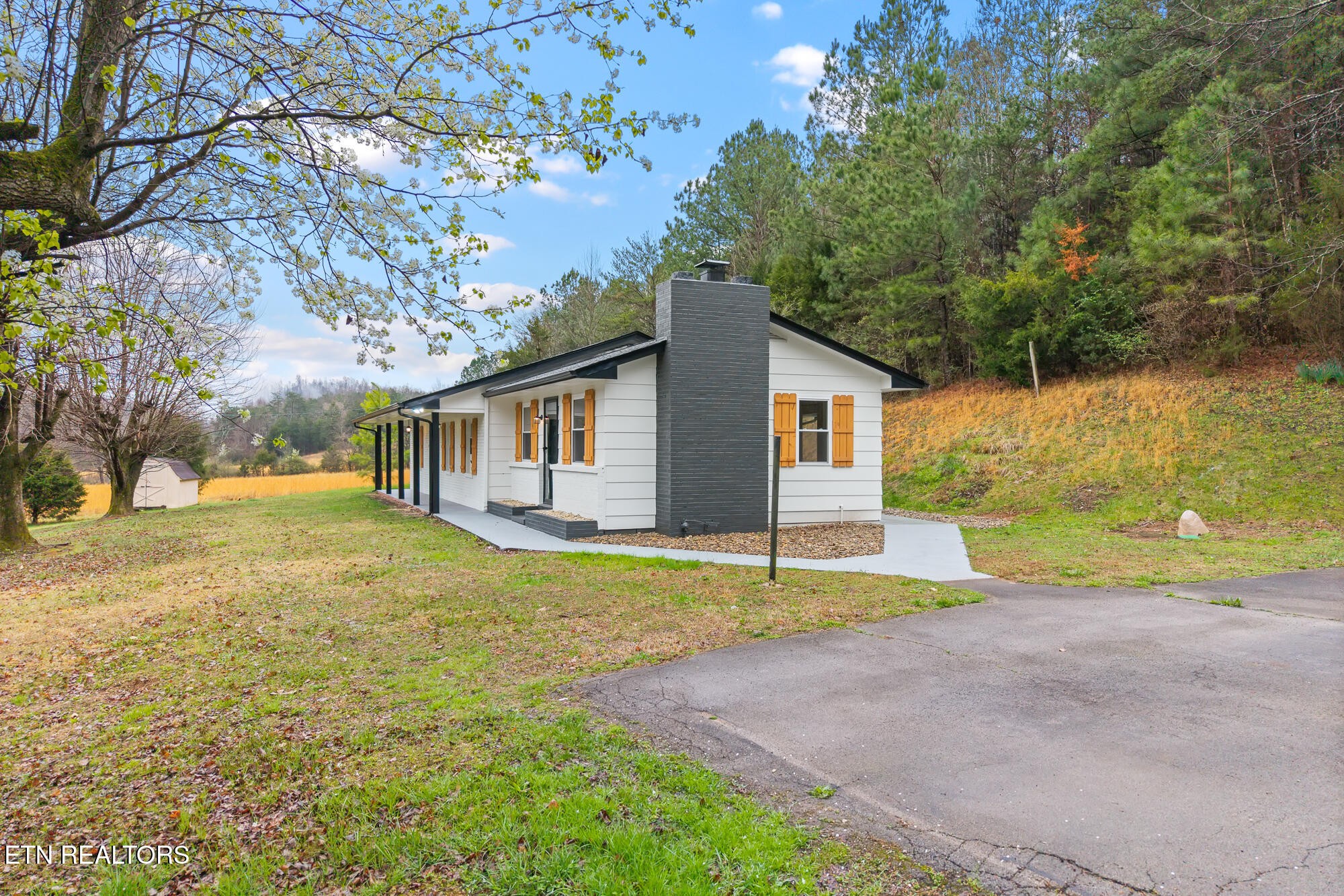 144 Cagle Road Tellico Plains, TN 37385 - Photo 4 of 34