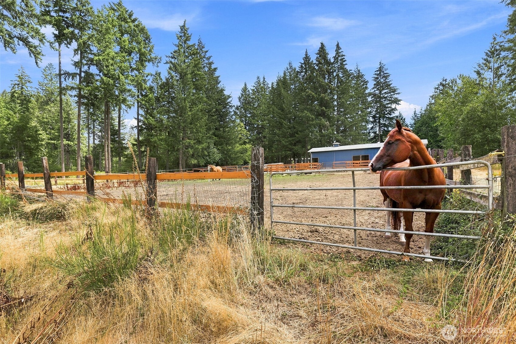 190 East Rasor Road Belfair, WA 98528 - Photo 27 of 33 Gallery Image 27