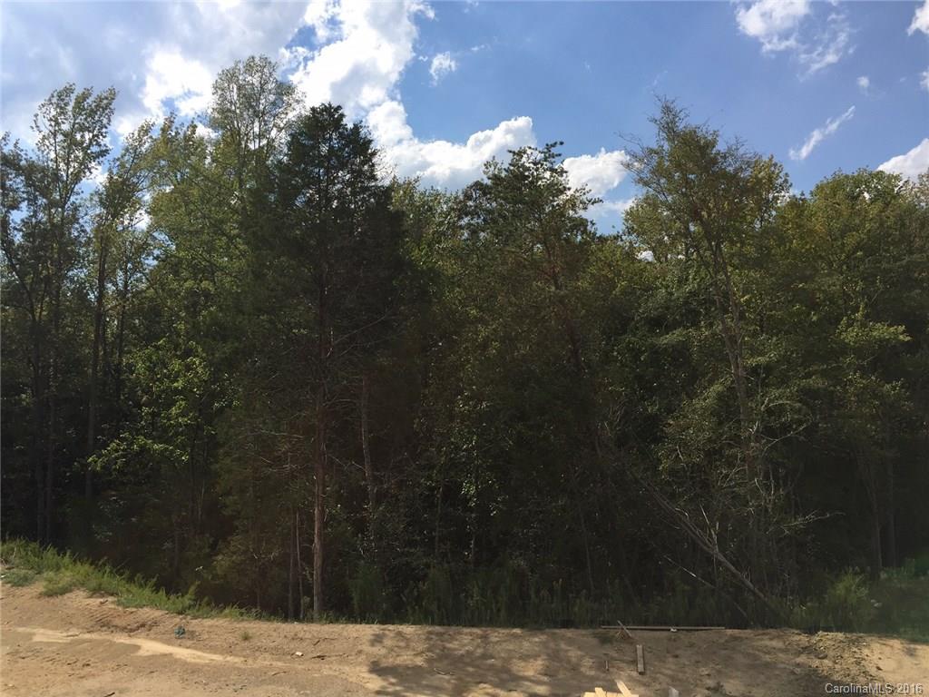 5301 Meadowcroft Way, Unit 41 Fort Mill, SC 29708 - Photo 2 of 2 a view of a backyard of the house