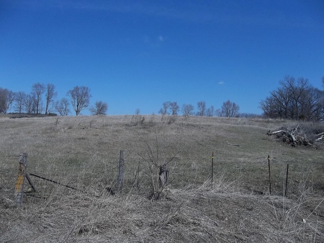 11657 North Adeline Road German Valley, IL 61039 - Photo 12 of 13 a view of a dry yard with trees in the background