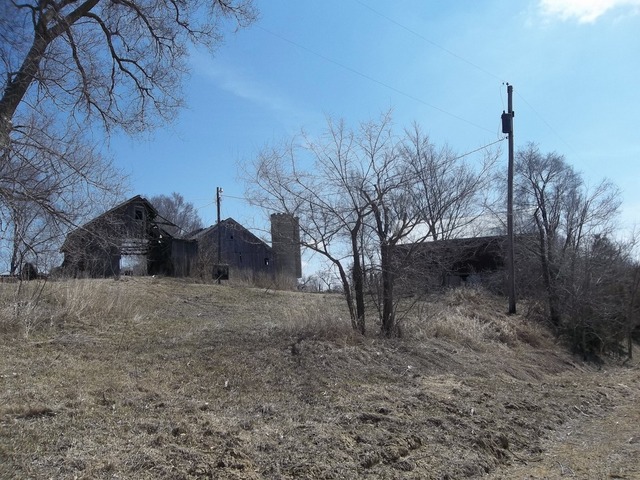 11657 North Adeline Road German Valley, IL 61039 - Photo 7 of 13 a view of a dry yard with trees