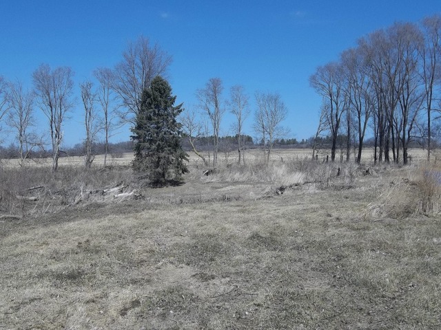 11657 North Adeline Road German Valley, IL 61039 - Photo 8 of 13 a view of a dry yard