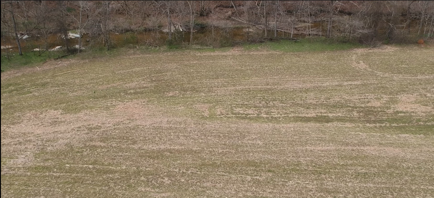 1511 Dutch Creek Road Westmoreland, TN 37186 - Photo 2 of 3