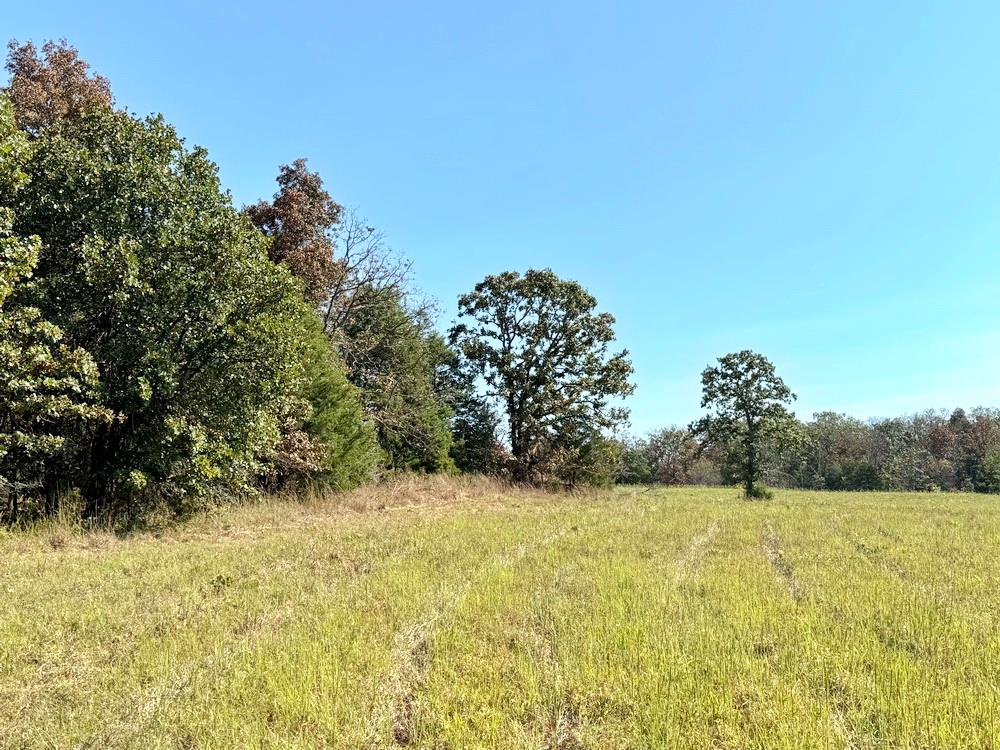 Tbd Southwest Tbd Sw 778th Road Osceola, MO 64776 - Photo 16 of 41 Gallery Image 16