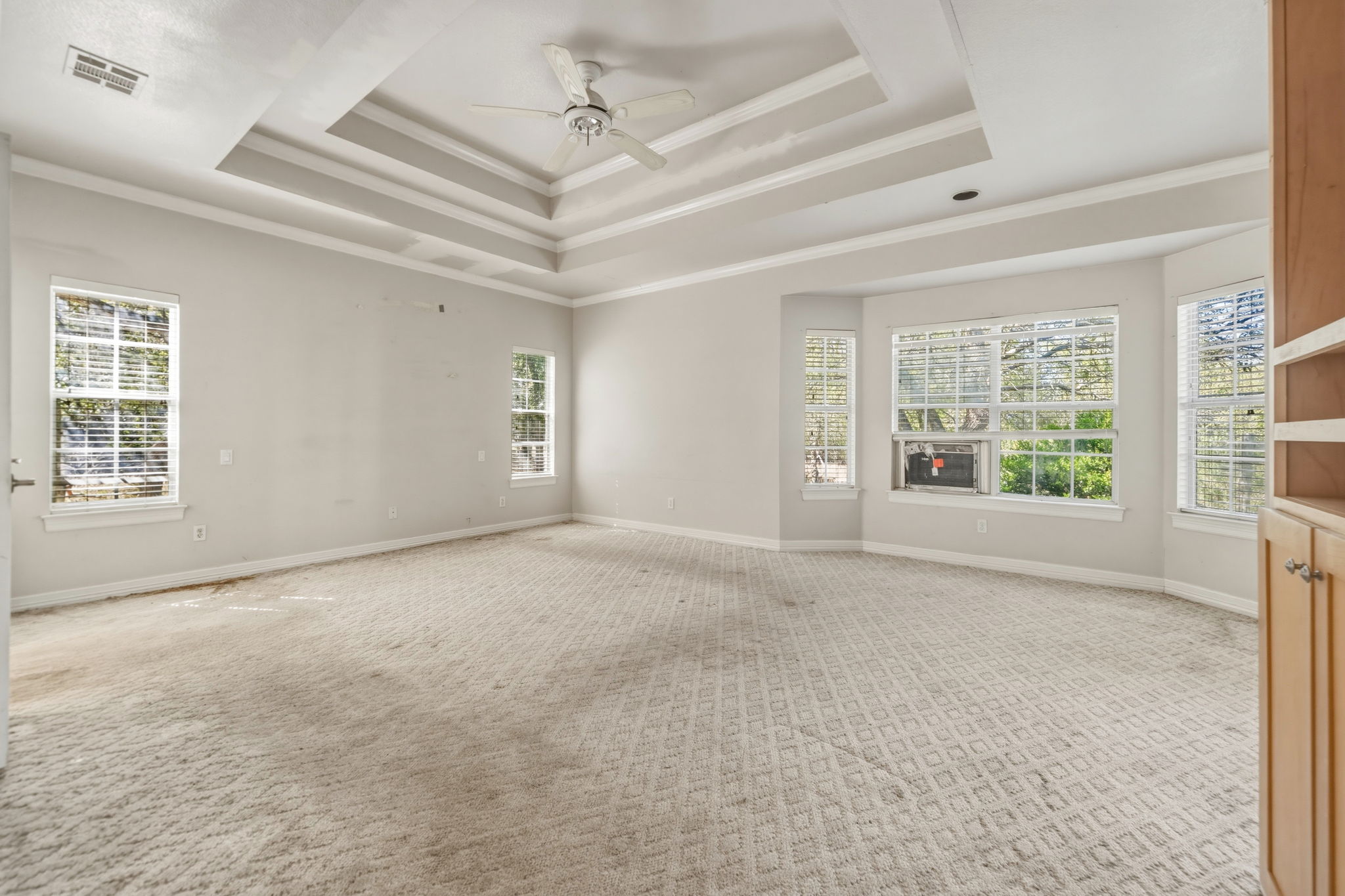 14039 Timberline Trail Austin, TX 78737 - Photo 23 of 39 Spare room with ceiling fan, carpet flooring, and ornamental molding