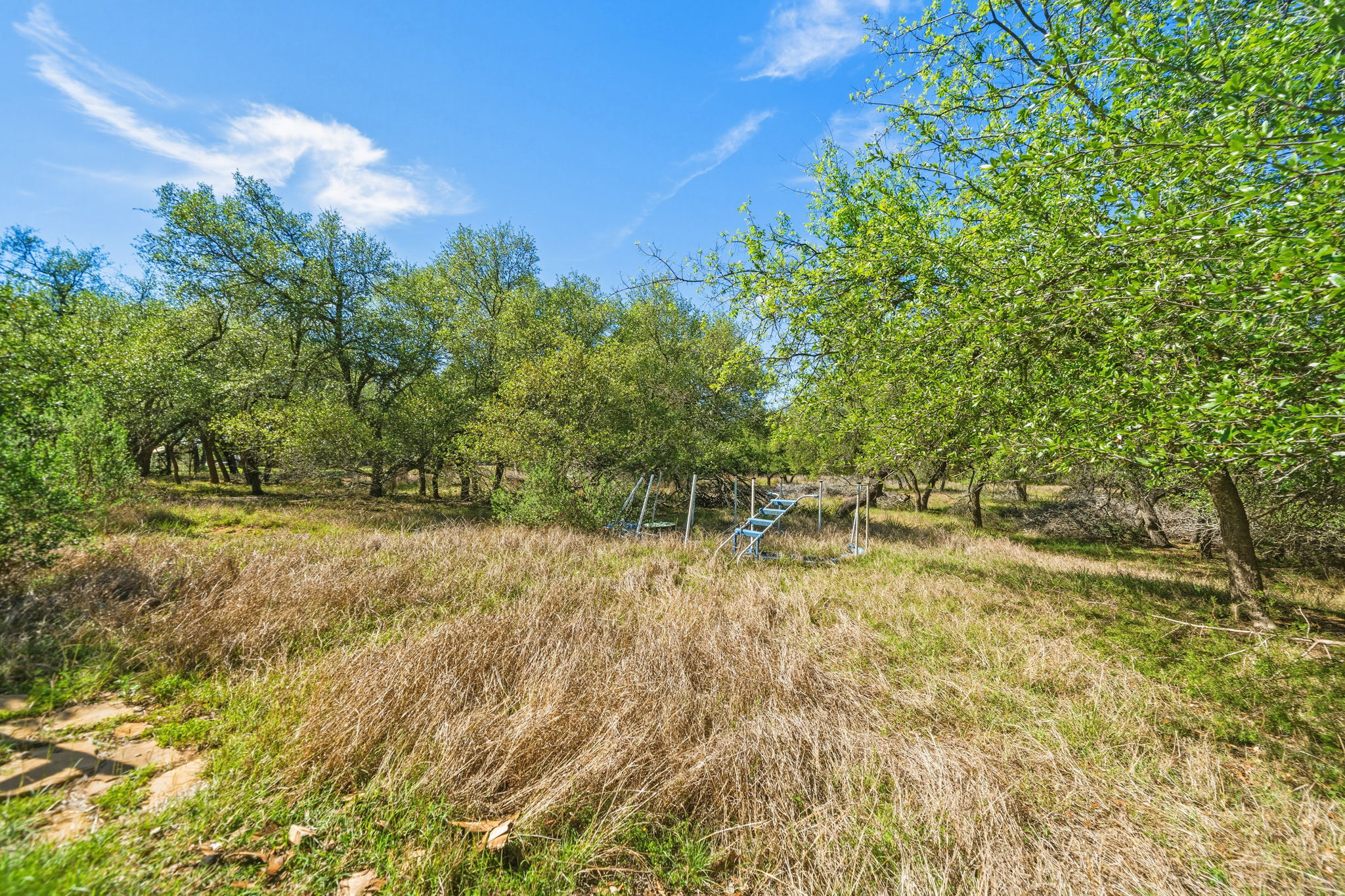 14039 Timberline Trail Austin, TX 78737 - Photo 38 of 39 View of undeveloped land