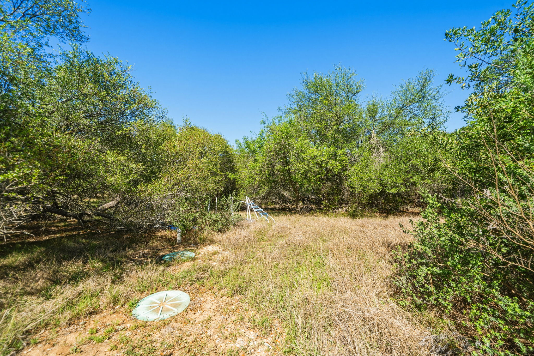 14039 Timberline Trail Austin, TX 78737 - Photo 39 of 39 View of yard