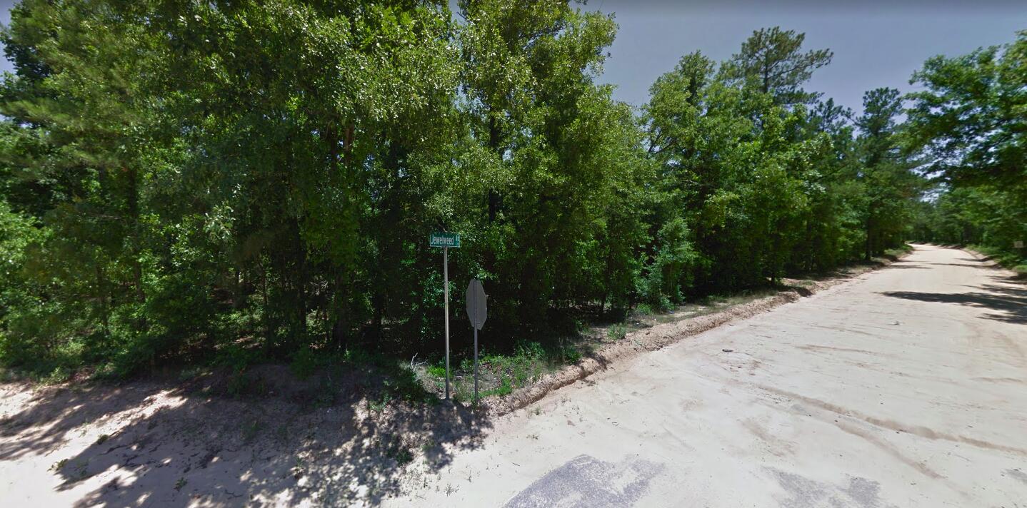 0 Jewelweed Road Salley, SC 29137 - Photo 1 of 2 Road view